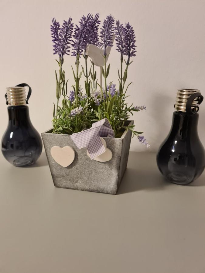 Apartament Nad Klifem W Dziwnowku Dziwnówek Eksteriør billede